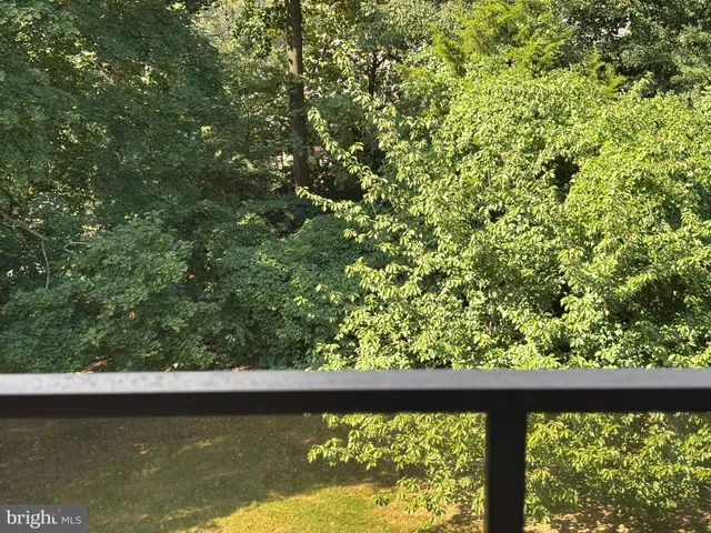 a view of a lake from a window