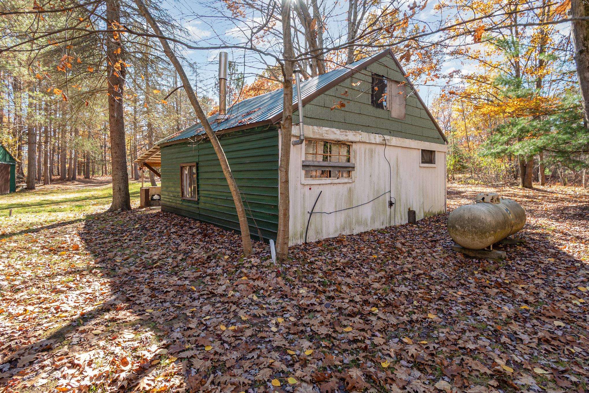 3385 Jones Road Rhodes, MI 48652 - Photo 30 of 56
