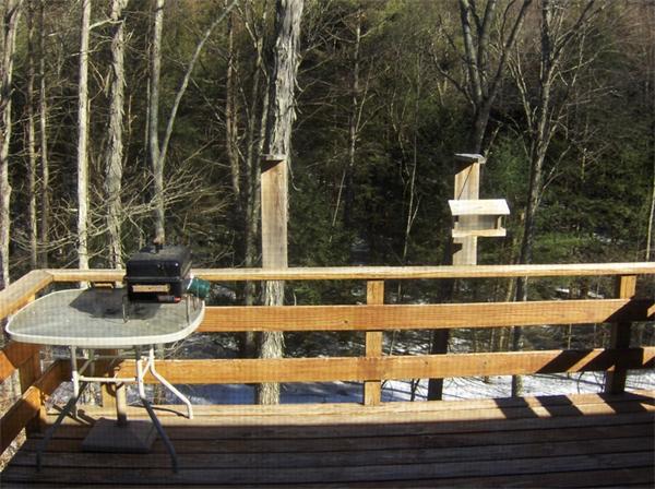 49 Martindale Road Bernardston, MA 01337 - Photo 17 of 25 Gallery Image 17