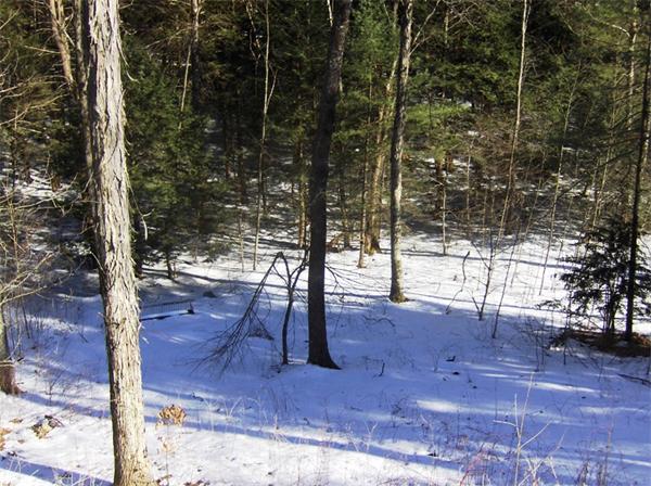 49 Martindale Road Bernardston, MA 01337 - Photo 22 of 25 Gallery Image 22