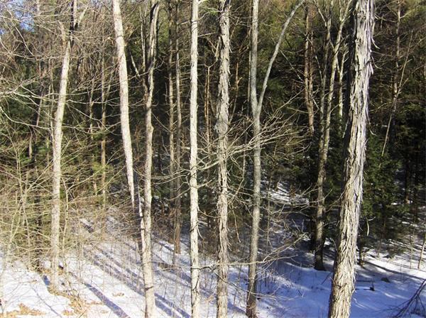 49 Martindale Road Bernardston, MA 01337 - Photo 23 of 25 Gallery Image 23