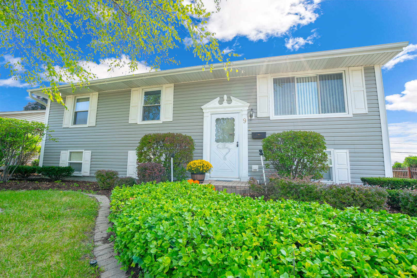 9 Ambassador Avenue Romeoville, IL 60446 - Photo 1 of 26 a front view of a house with garden