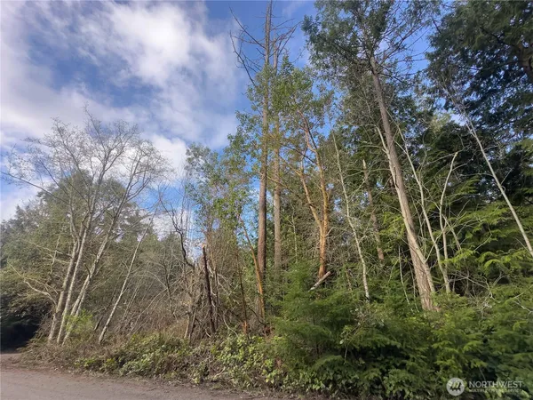 $60,000 | 222 Law Avenue, Port Townsend, WA 98368
