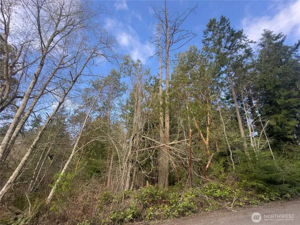 $60,000 | 222 Law Avenue, Port Townsend, WA 98368