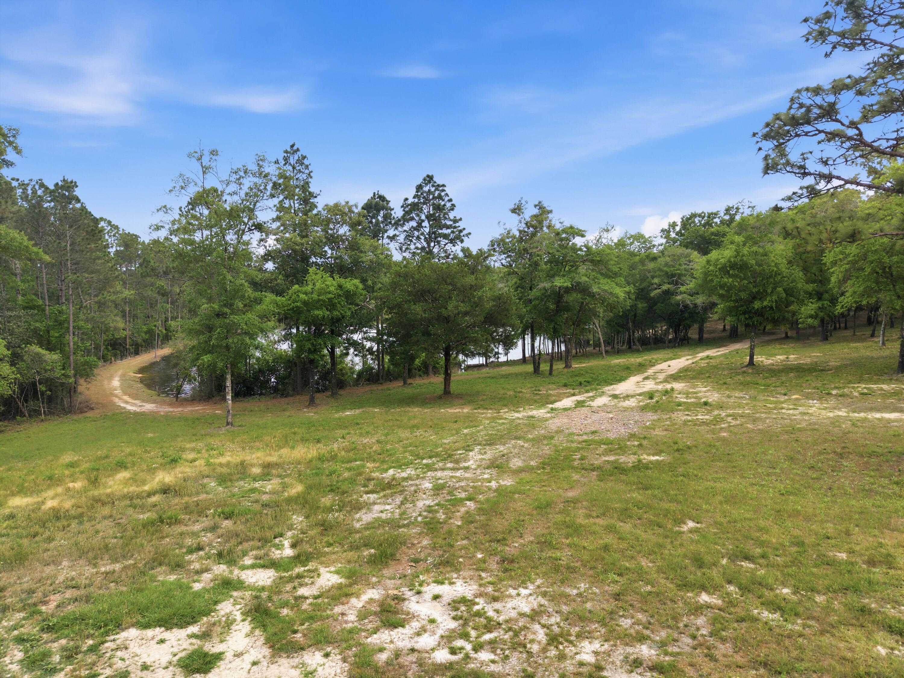 261 Wilkerson Road DeFuniak Springs, FL 32433 - Photo 32 of 76 a view of a trees in a yard