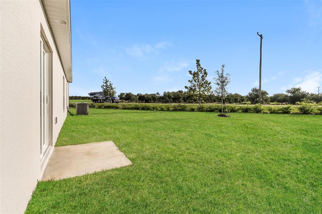 2770 Pennachio Dr Lake Lake Wales, FL 33853 - Photo 15 of 15 a view of a garden with a tree in the background