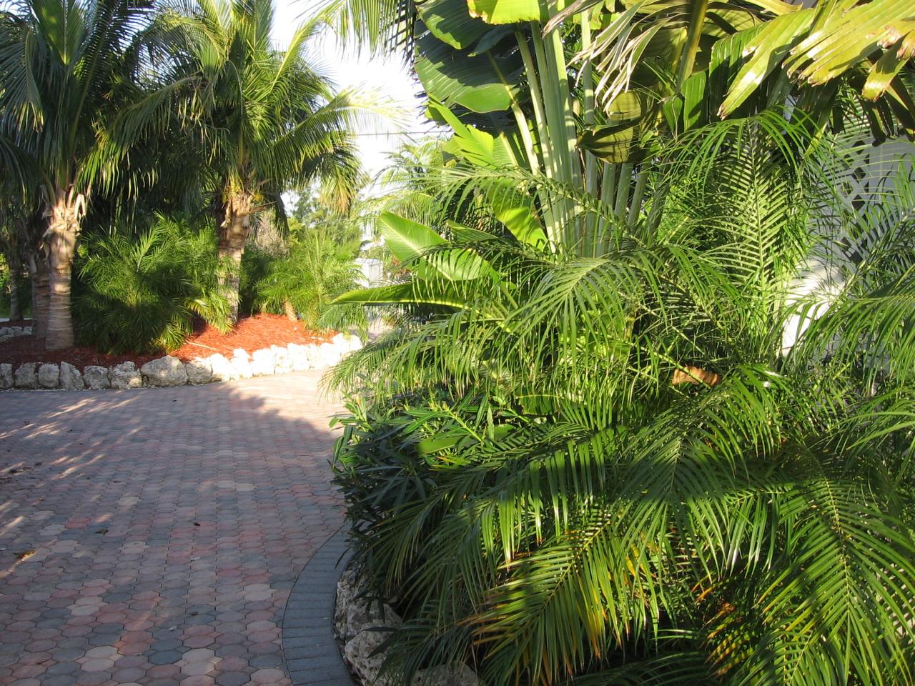 219 B Brian Road, Unit B Marathon, FL 33050 - Photo 11 of 11 Lush landscaping