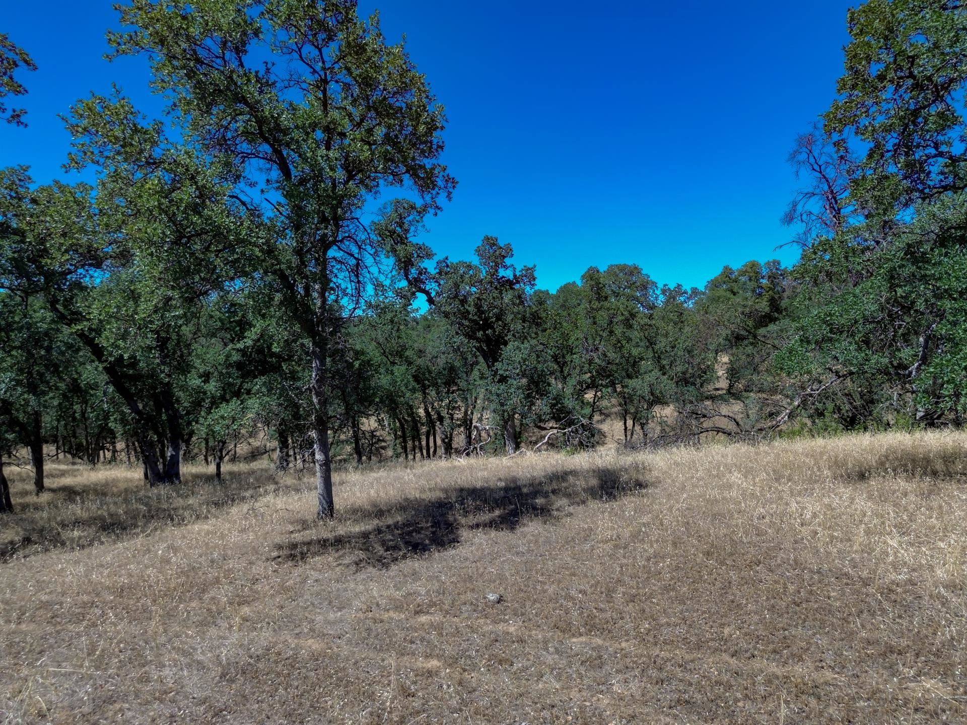 Lot A Penneleme Road Red Bluff, CA 96080 - Photo 9 of 11