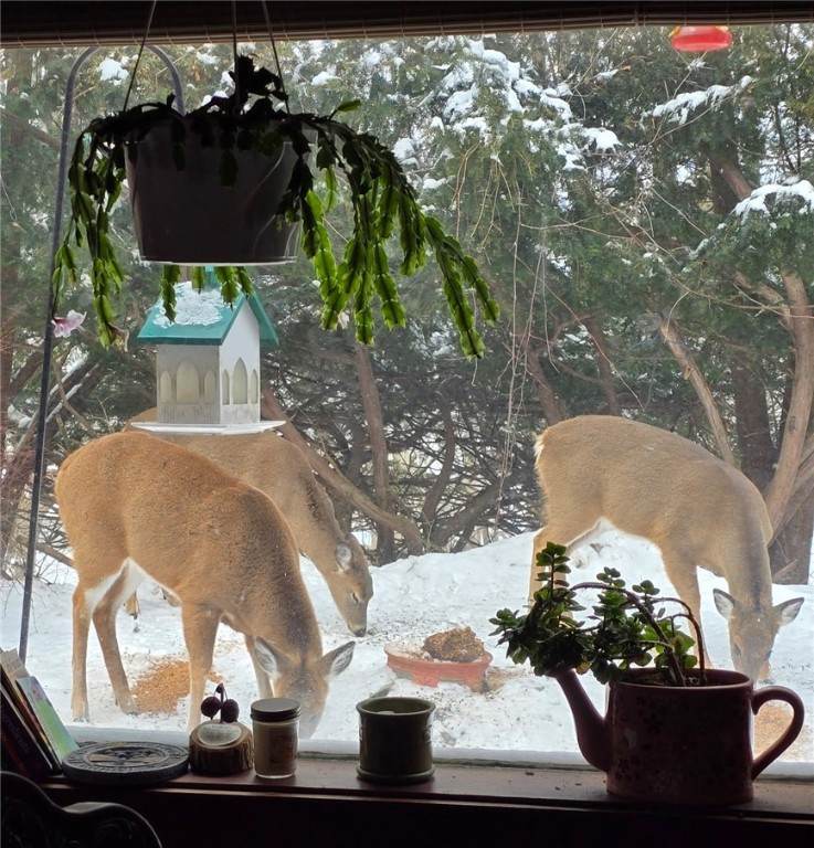 1096 Filkins Road Arcadia, NY 14513 - Photo 41 of 43