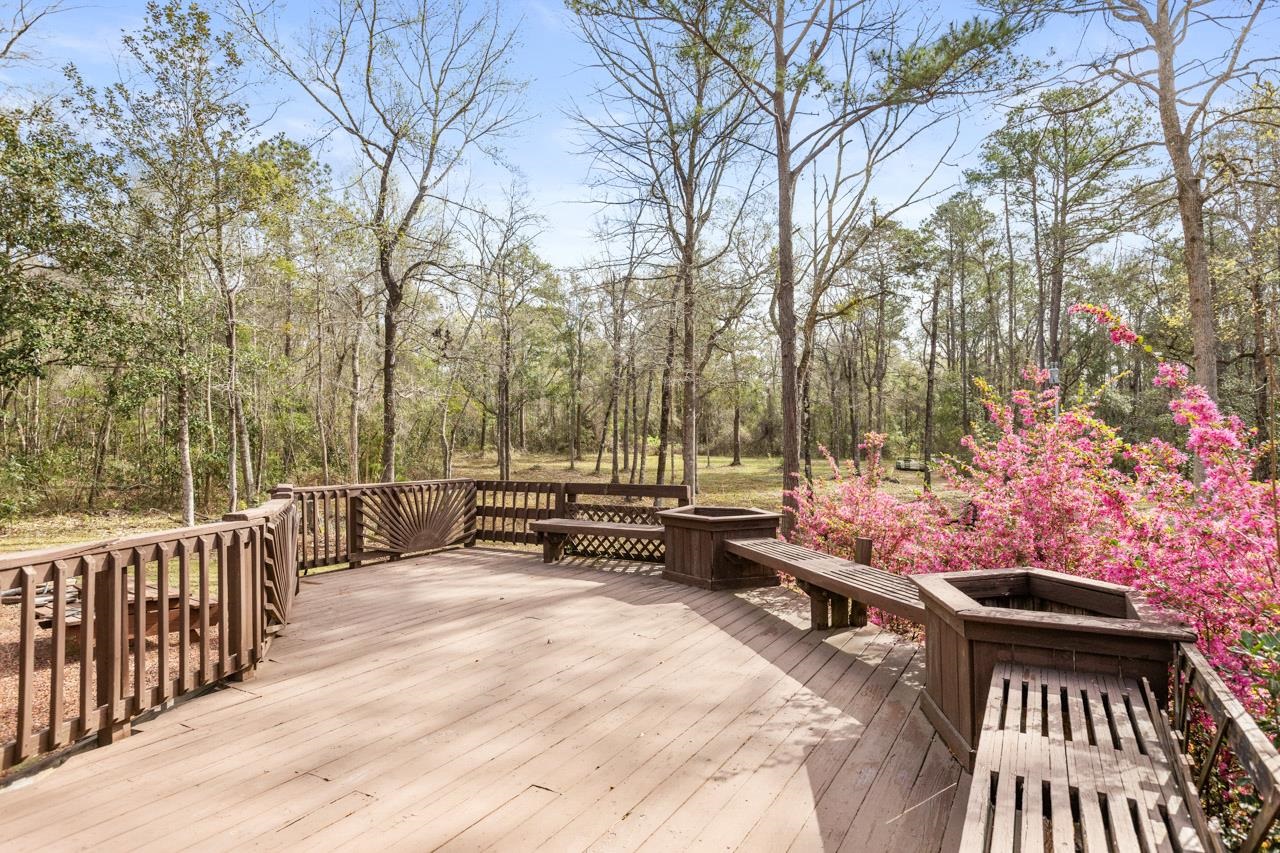 233 Attatulga Road Lamont, FL 32336 - Photo 6 of 33