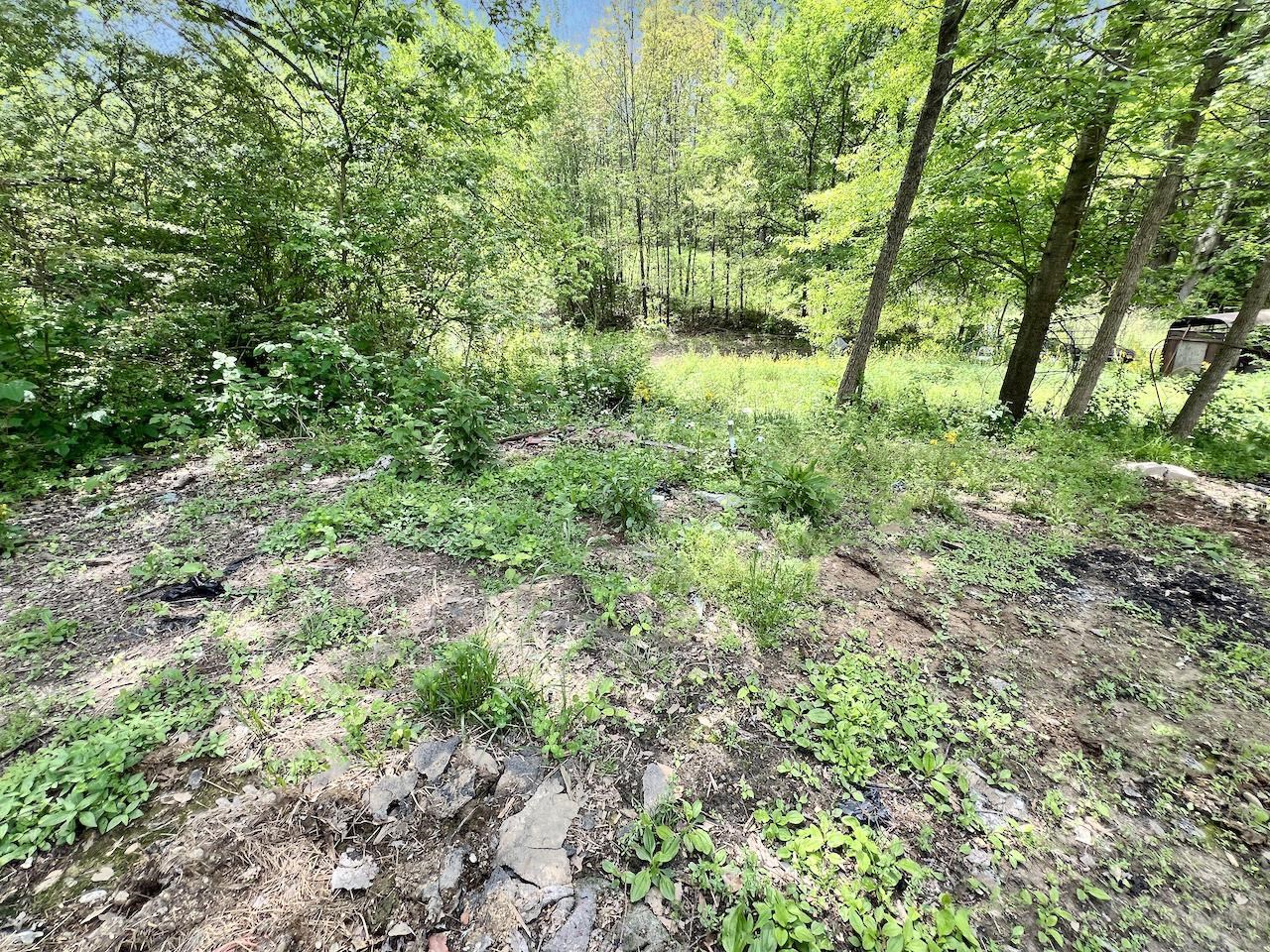 791 Old Brownsville Road Ripley, TN 38063 - Photo 5 of 29 Gallery Image 5