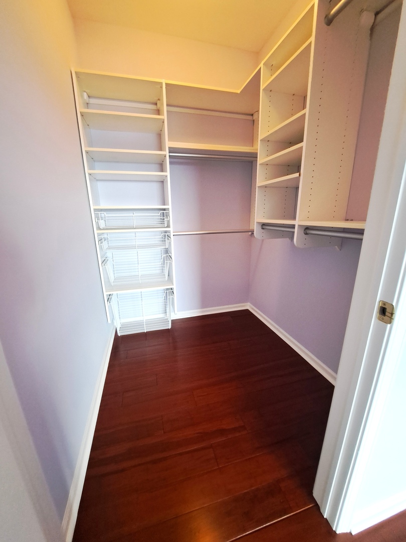 1307 West Lake Street, Unit 304 Addison, IL 60101 - Photo 12 of 33 a view of walk in closet with empty racks