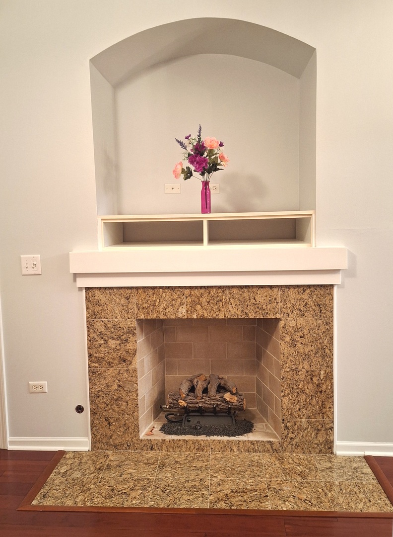 1307 West Lake Street, Unit 304 Addison, IL 60101 - Photo 20 of 33 a close view of a fireplace with glass windows
