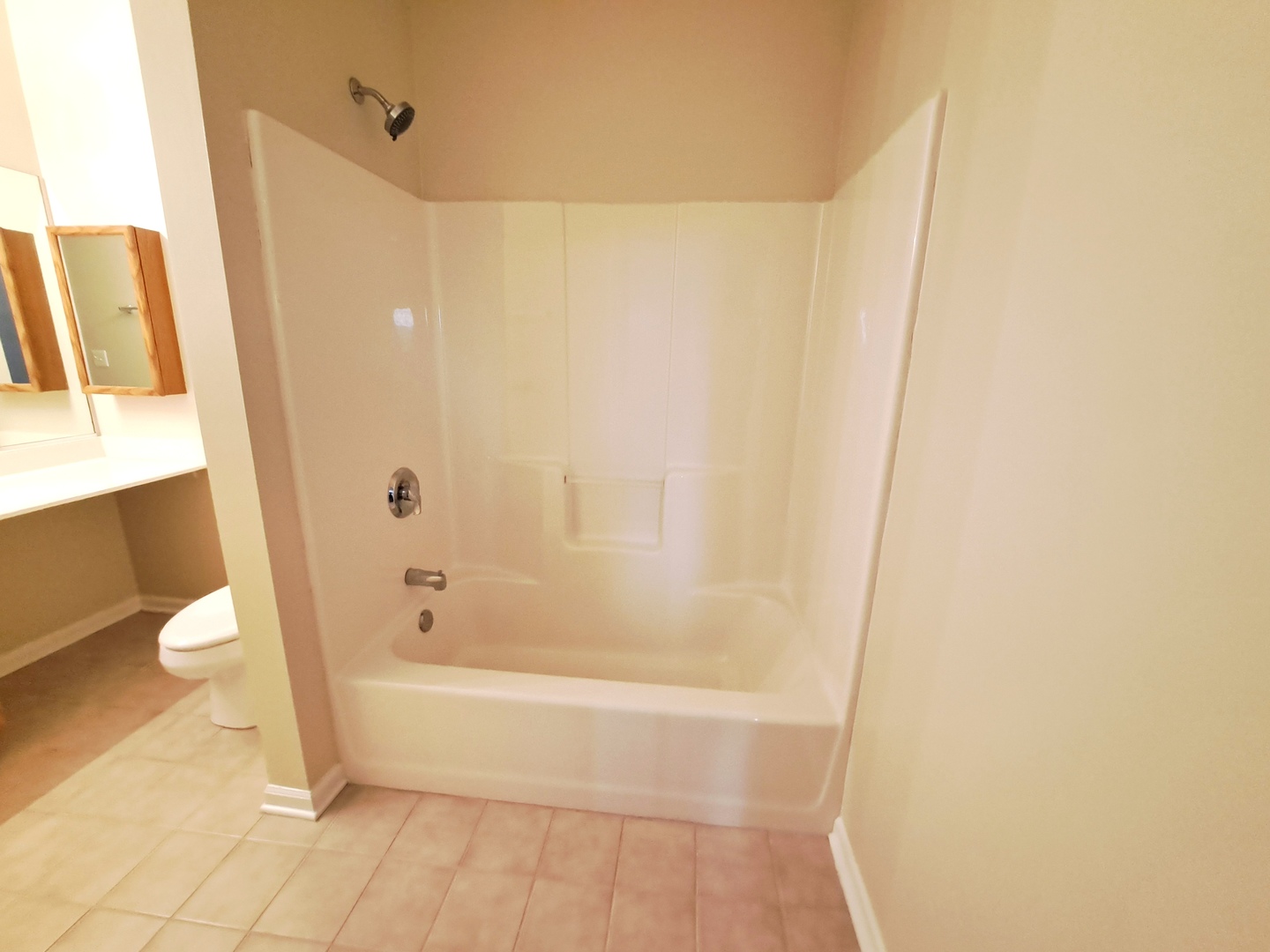 1307 West Lake Street, Unit 304 Addison, IL 60101 - Photo 21 of 33 a bathroom with a bathtub and a shower