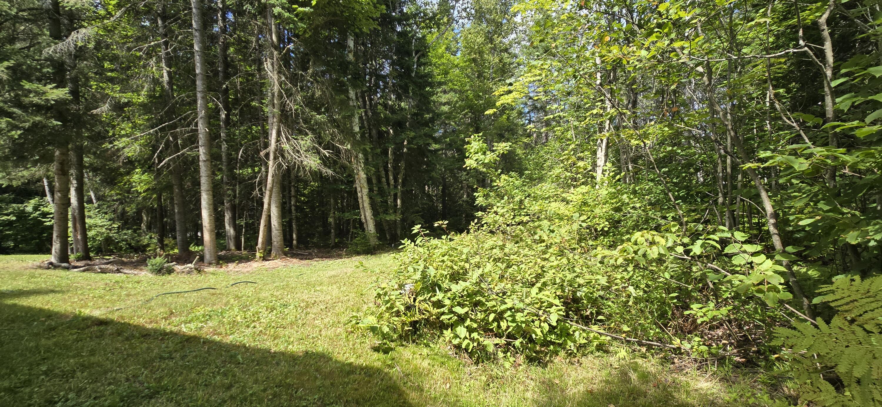 6 Balsam Ridge Road St. Francis, ME 04774 - Photo 21 of 47 20250821_120557