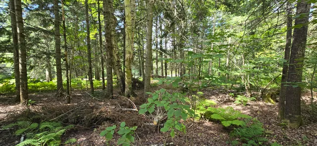 $154,900 | 6 Balsam Ridge Road, St. Francis, ME 04774