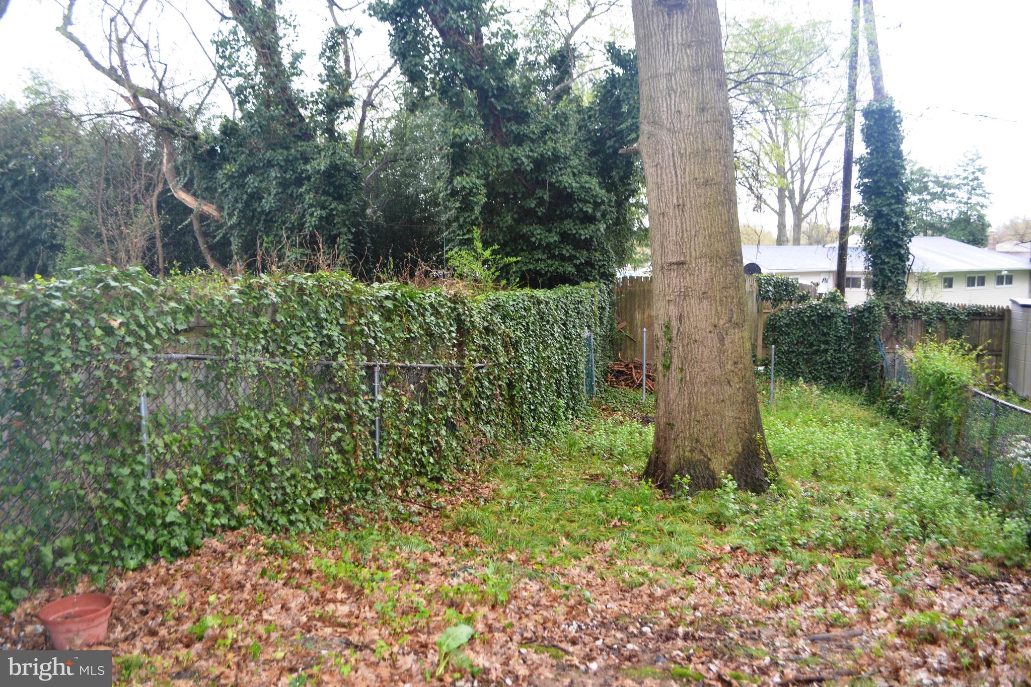 210 Whitherspoon Lane Newark, DE 19713 - Photo 18 of 19 Fenced Yard