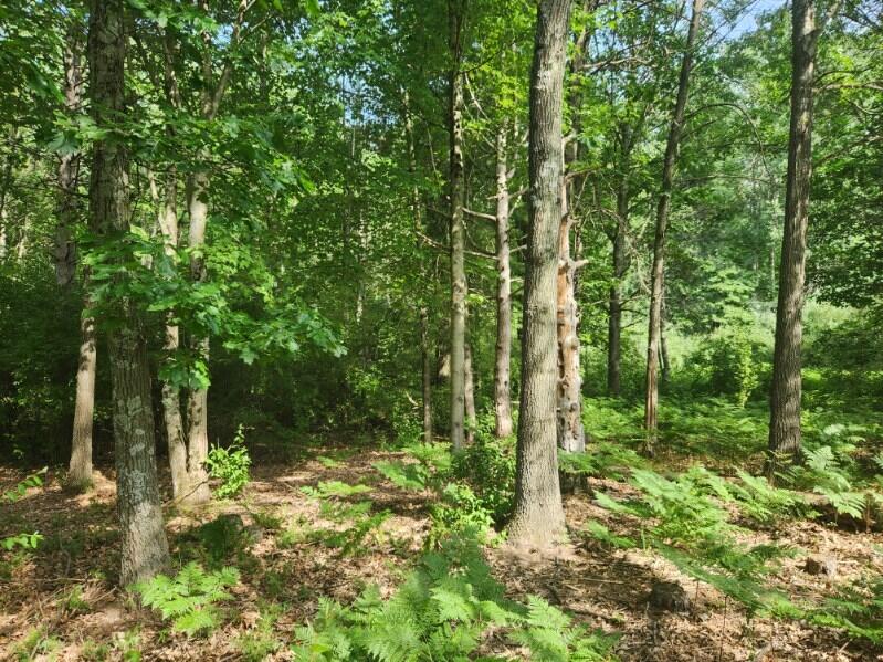 7373 South Riverbend Road, Unit LOT# 53 Branch, MI 49402 - Photo 2 of 5 image000005