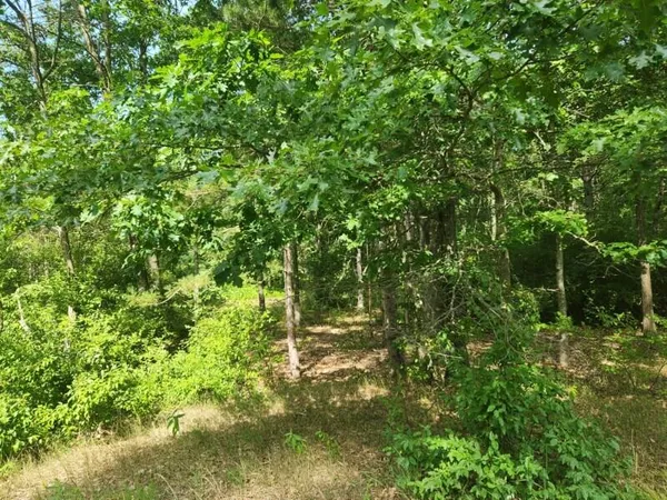 $30,000 | 7373 South Riverbend Road, Unit LOT# 53, Branch, MI 49402