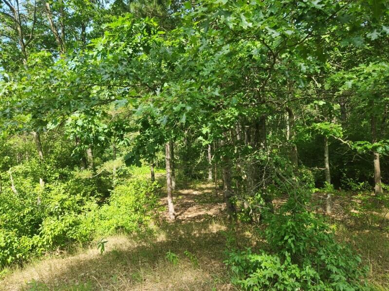 7373 South Riverbend Road, Unit LOT# 53 Branch, MI 49402 - Photo 3 of 5 image000002