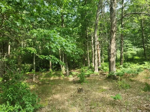 $30,000 | 7373 South Riverbend Road, Unit LOT# 53, Branch, MI 49402