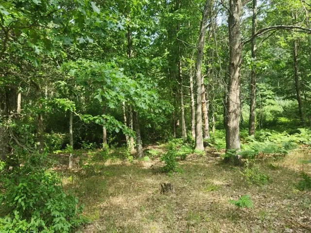 $30,000 | 7373 South Riverbend Road, Unit LOT# 53, Branch, MI 49402