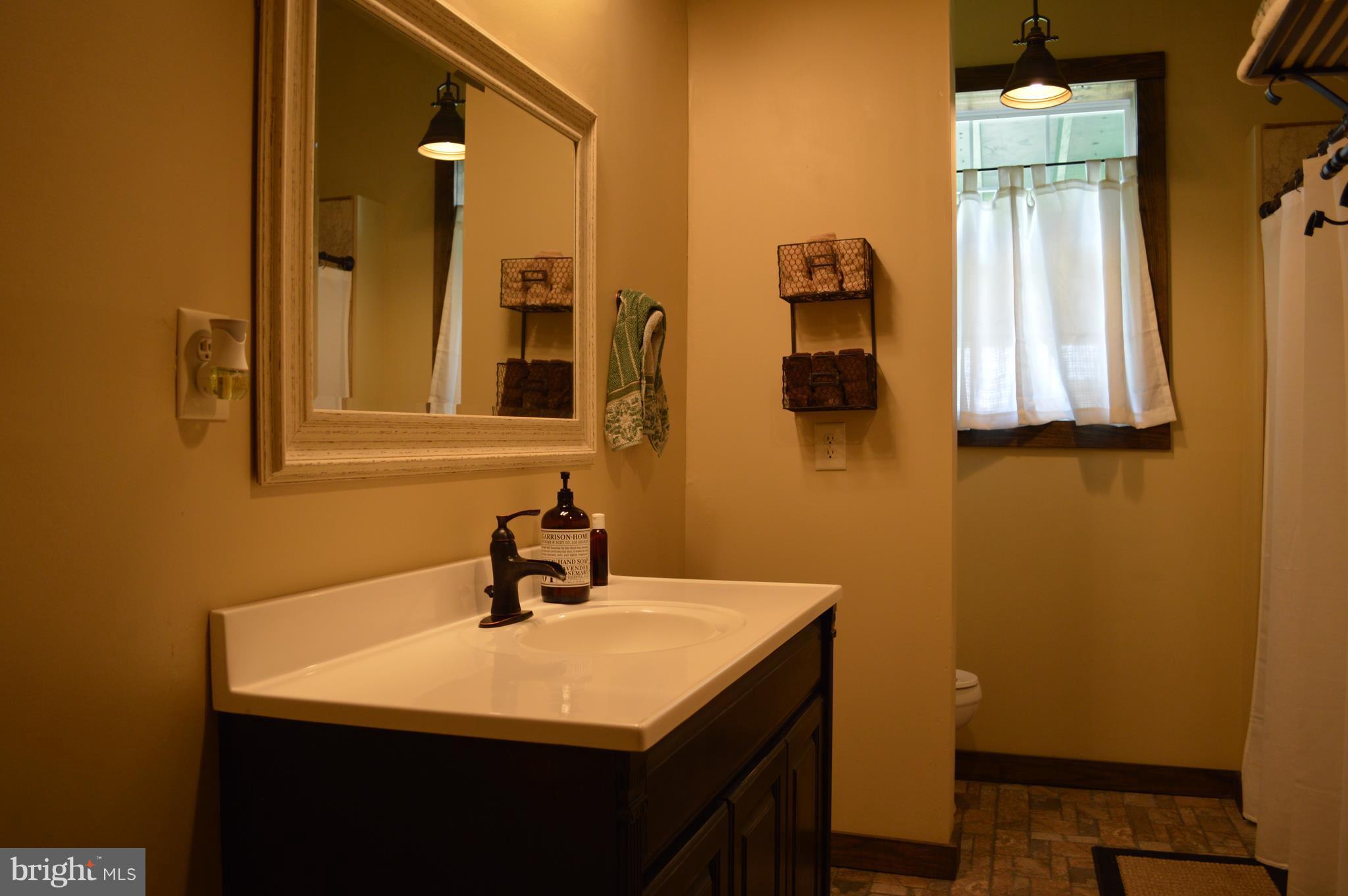 926 County Rte 1/1 Berkeley Springs, WV 25411 - Photo 19 of 26 Bath W/Tub & Shower