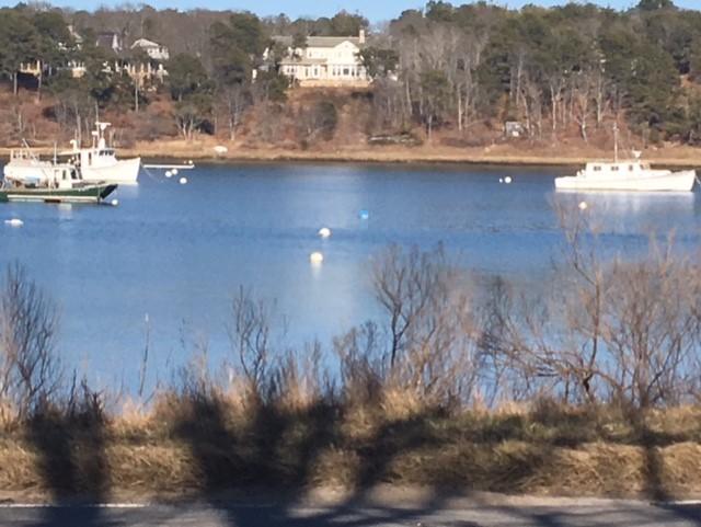 38 Crosswind Farm Road Chatham, MA 02633 - Photo 2 of 36 a view of outdoor space and yard