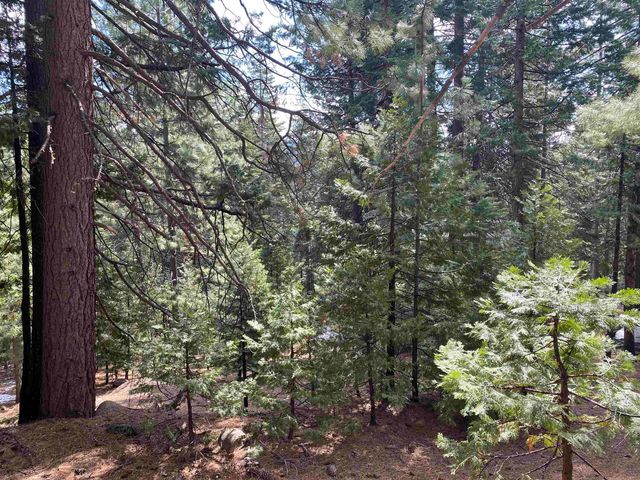 $12,000 | 618 Lake Ridge Road, Lake Almanor, CA 96137