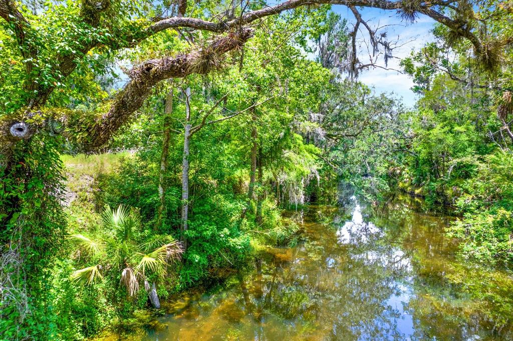 1115 Myrtle Road Valrico, FL 33596 - Photo 1 of 1 Gallery Image 1