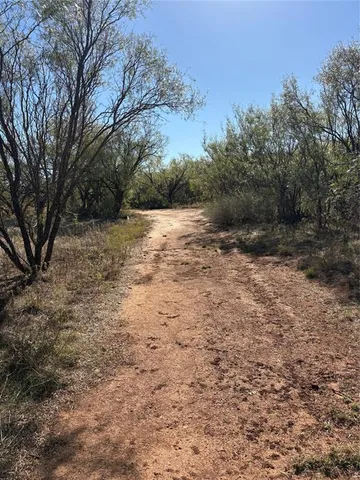 a view of a yard with trees