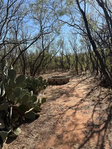 a view of beach and ocean