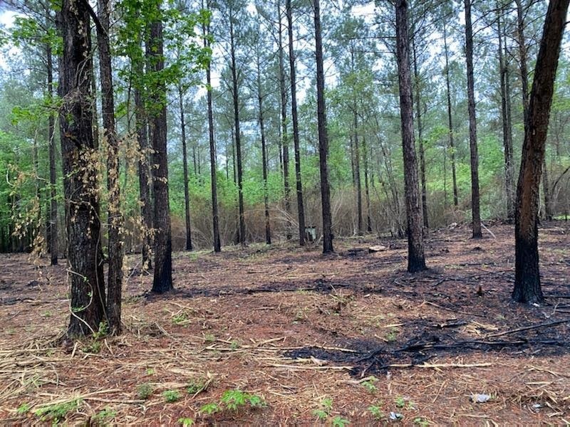 0 Roopville Veal Road Southwest, Unit 25 ACRES Roopville, GA 30170 - Photo 1 of 1 a view of outdoor space with lots of trees