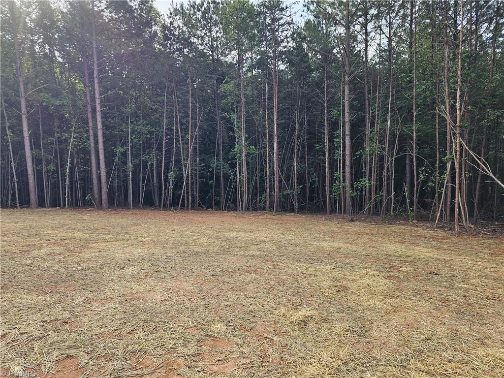 972 McBride Road Mount Airy, NC 27030 - Photo 23 of 23