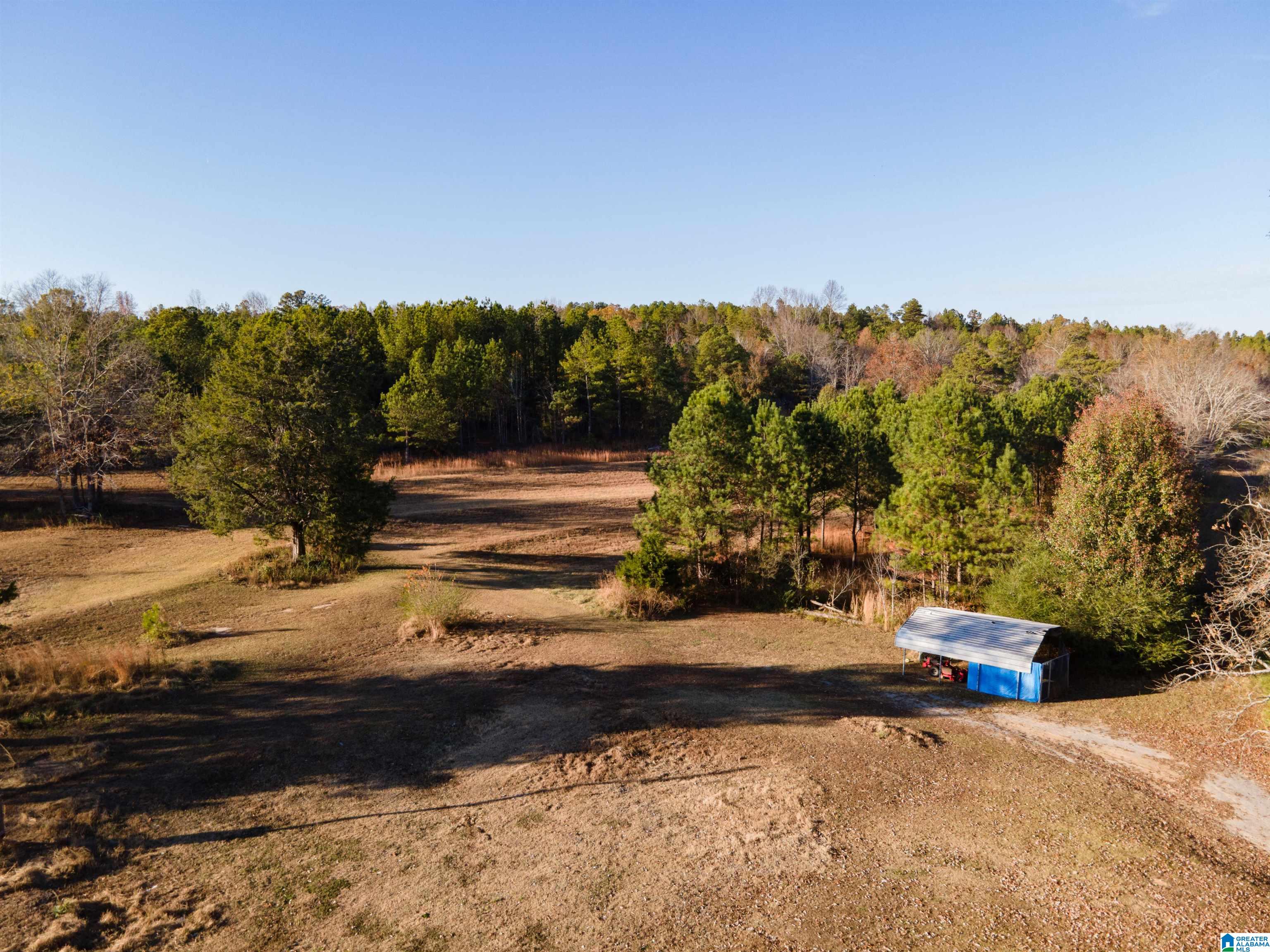 620 Chief Albert Road, Unit 1 Blountsville, AL 35031 - Photo 3 of 23