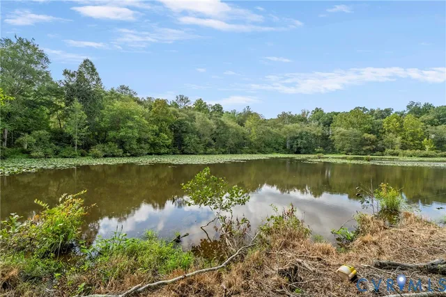 $1,120,000 | 12812 Lonan Avenue, Chesterfield, VA 23838