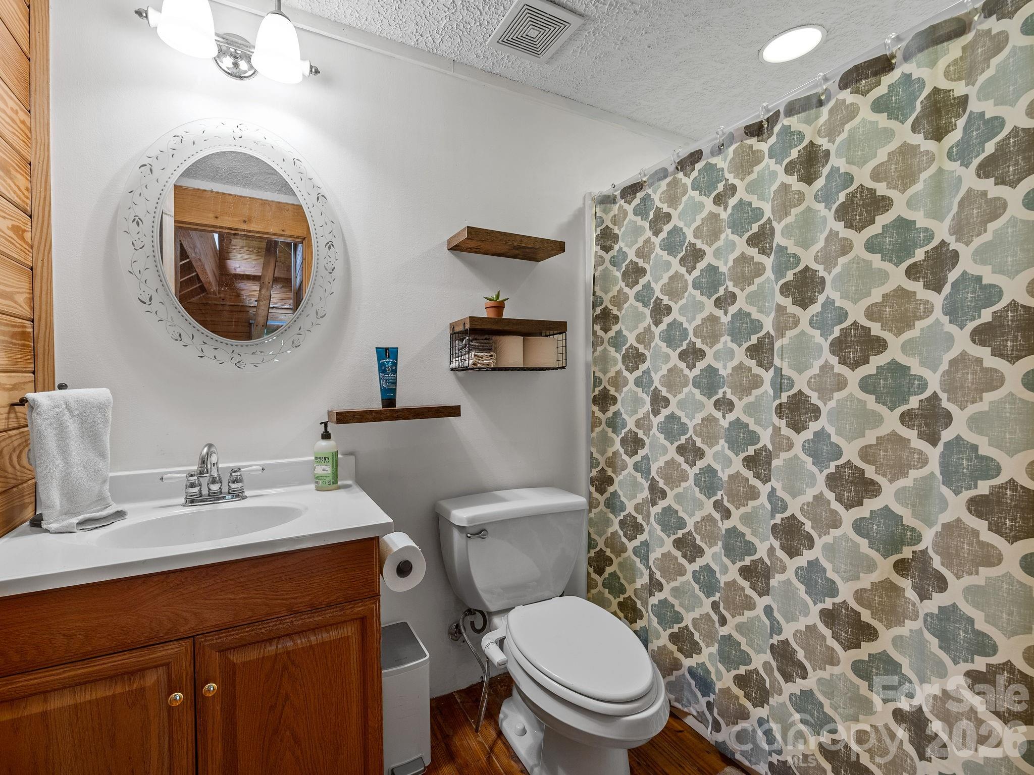 270 Cross Ridge Drive Rutherfordton, NC 28139 - Photo 16 of 38 a bathroom with a toilet a sink and a mirror