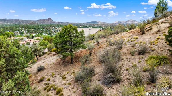 a view of a garden with plants