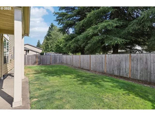 a view of a backyard with large trees and wooden fence
