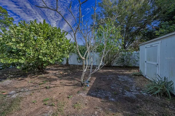 a view of a yard with plants and a trees