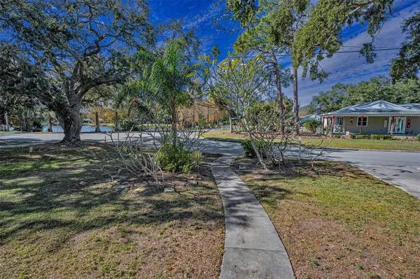 a view of yard with trees