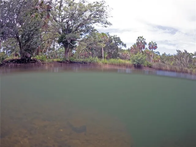 an ocean view with residential house