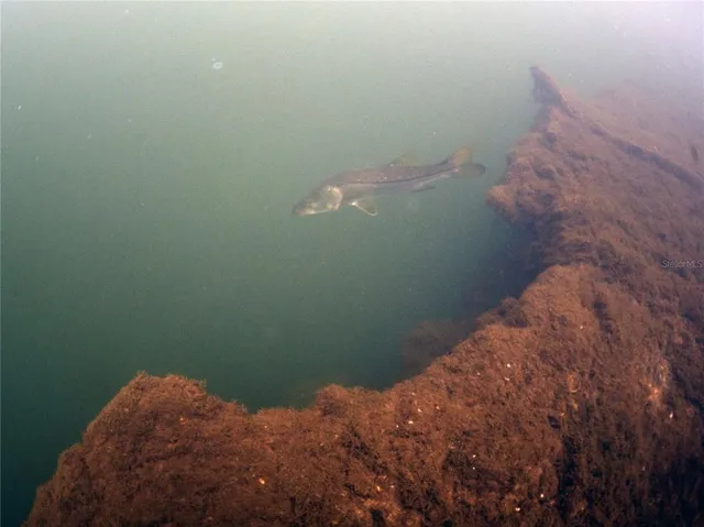 a view of a lake from a balcony