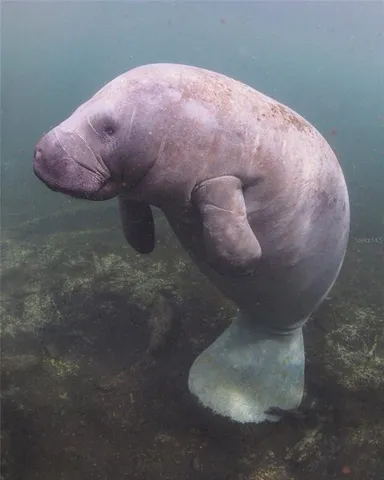 an aerial view of residential house with outdoor space