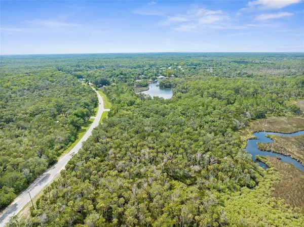 a view of a green field with an ocean