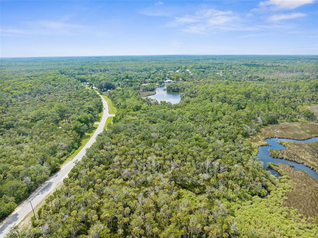 0 Marys Fish Camp Road Spring Hill, FL 34607 - Photo 8 of 24 a view of a city with lush green forest