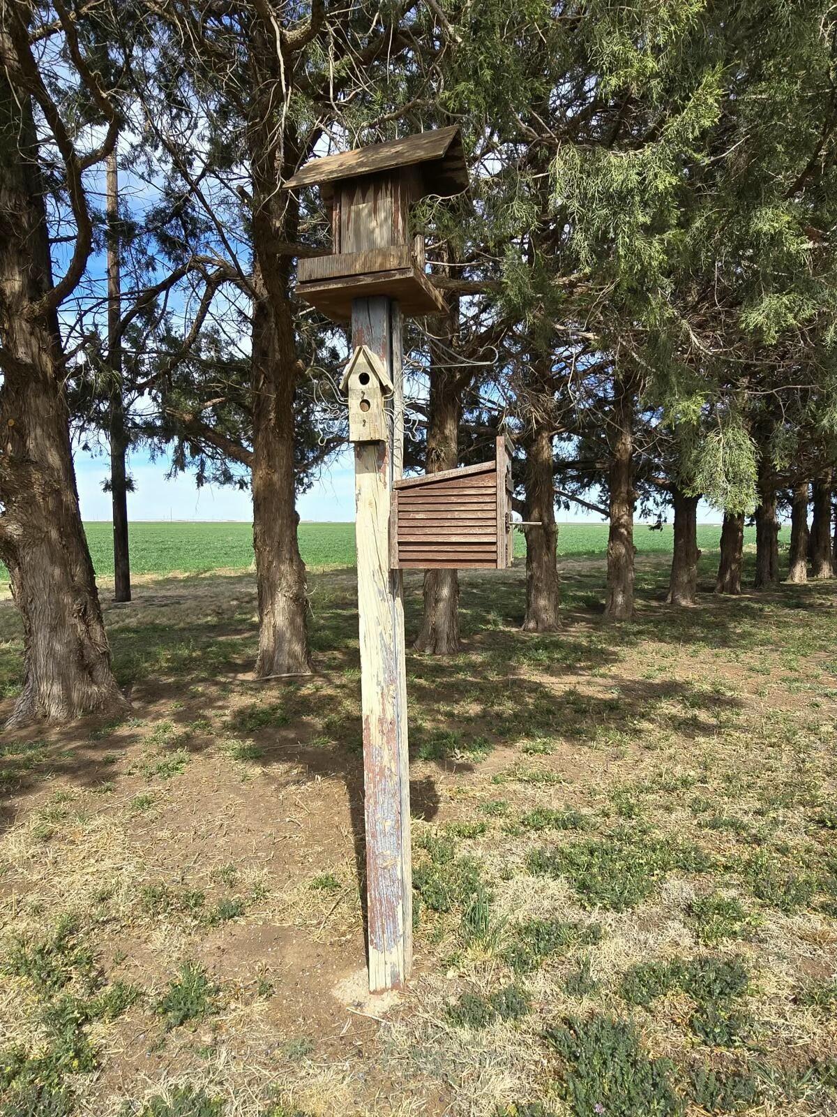 3006 County Road 3500 Lubbock, TX 79403 - Photo 21 of 23 a view of a street with a tree
