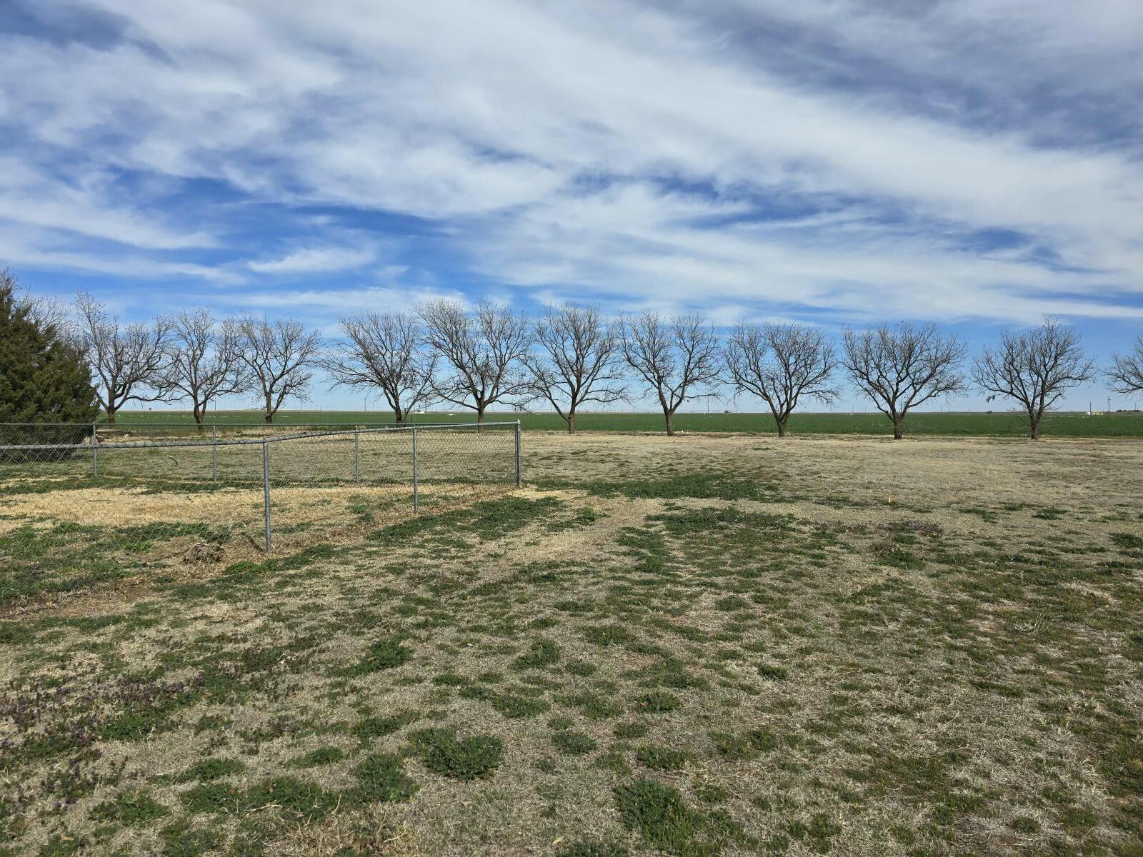 3006 County Road 3500 Lubbock, TX 79403 - Photo 23 of 23 a view of a field with an ocean
