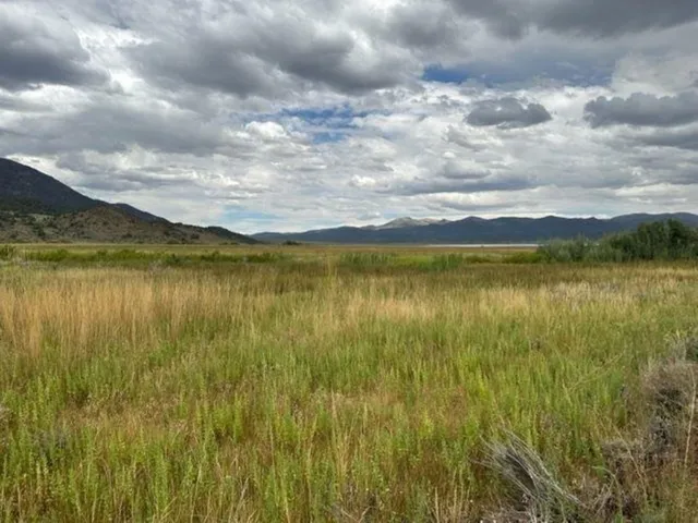 a view of a lake with houses in the background