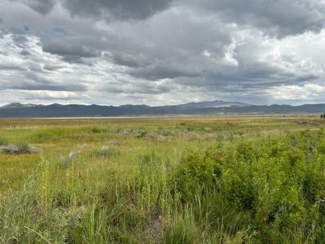 a view of an ocean and beach